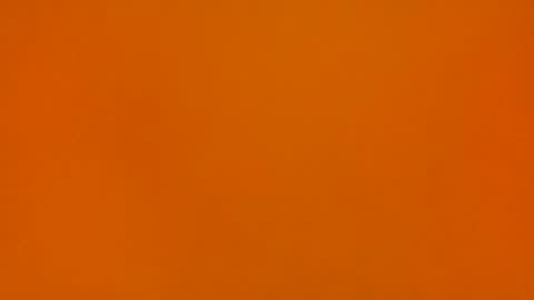 Poprigyn53535 online show from 1, 11, 2025