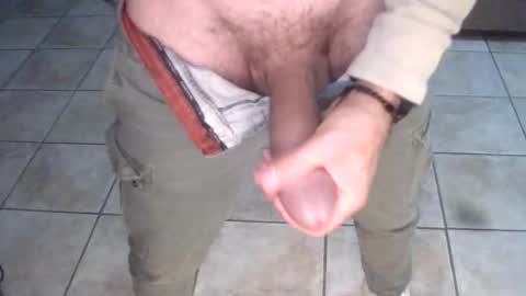 porcellobolognese online show from 11, 11, 2025