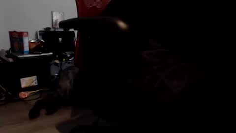 Snapshot of porkypork chatting on 9, 9, 2025 porkdaddy online show from 9, 9, 2025