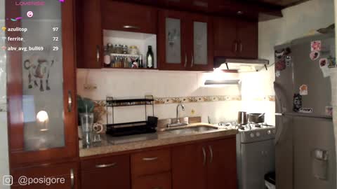 Snapshot of posigore chatting on 3, 1, 2025 Anna Goth independient model online show from 3, 1, 2025