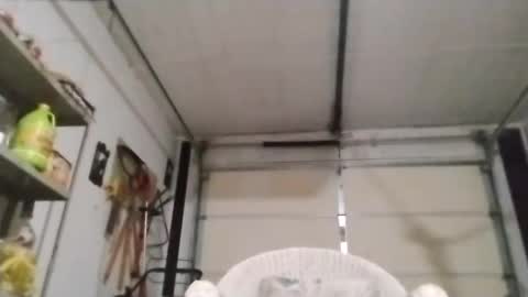 PipeLayerPlayer007 online show from 4, 10, 2025