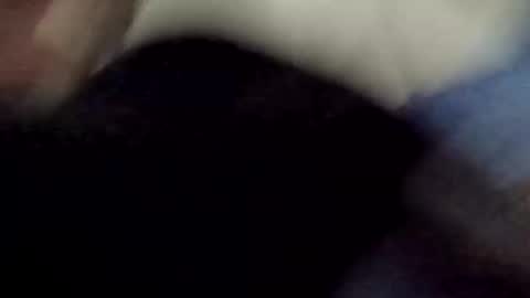 PipeLayerPlayer007 online show from 8, 4, 2026