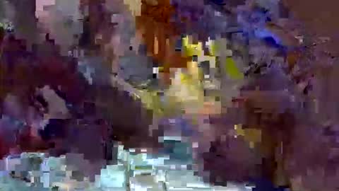 precious_nesh online show from 13, 5, 2026