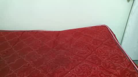 preshty online show from 14, 11, 2025