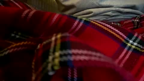 Snapshot of pretty_boy_jack chatting on 12, 12, 2024 pretty_boy_jack online show from 12, 12, 2024