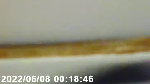 Snapshot of pretty_boy_jack chatting on 12, 2, 2025 pretty_boy_jack online show from 12, 2, 2025