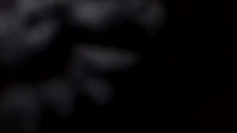 Snapshot of pretty_boy_jack chatting on 28, 2, 2025 pretty_boy_jack online show from 28, 2, 2025