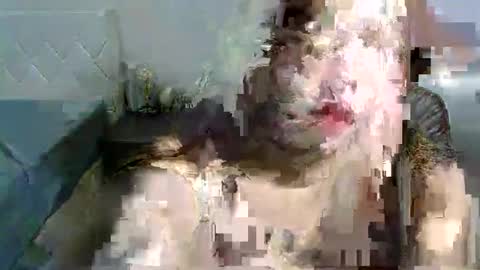 jenny online show from 27, 10, 2025