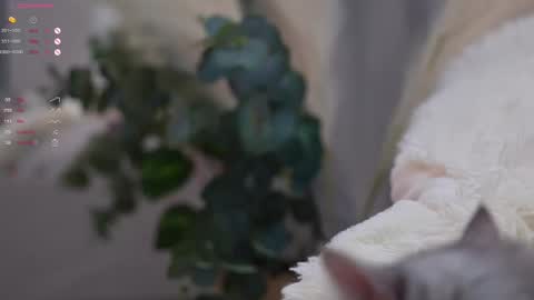 Elina online show from 11, 3, 2025