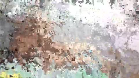 SaraCattra online show from 12, 9, 2025