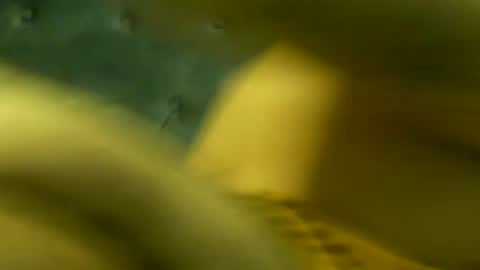 DADDYDICRICO6969 online show from 5, 8, 2026