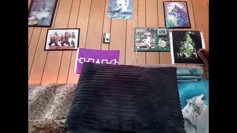 prettysolid7 online show from 14, 2, 2026