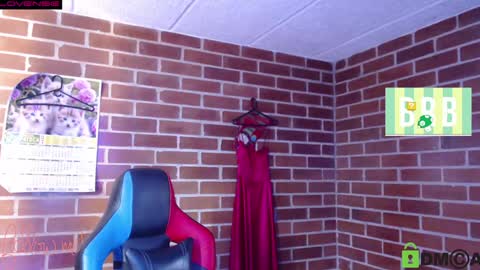 Snapshot of princesa_leia_zathur chatting on 30, 1, 2025 Leia online show from 30, 1, 2025