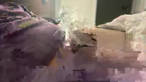 Snapshot of prishpreed23 chatting on 12, 3, 2026 prishpreed23 online show from 12, 3, 2026