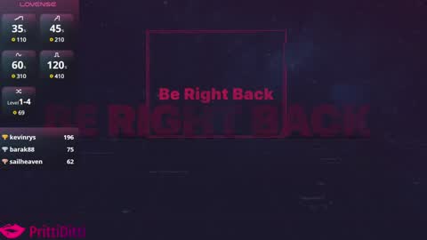 Snapshot of prittiditti chatting on 21, 1, 2025 PrittiDitti online show from 21, 1, 2025