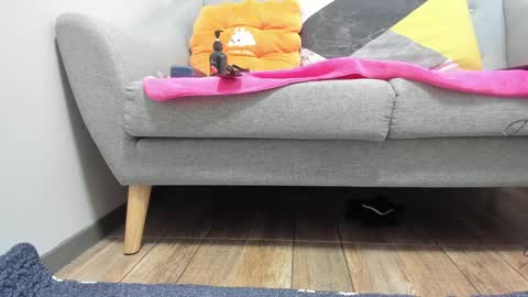 Snapshot of prittiditti chatting on 22, 1, 2025 PrittiDitti online show from 22, 1, 2025