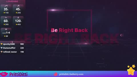 Snapshot of prittiditti chatting on 28, 1, 2025 PrittiDitti online show from 28, 1, 2025