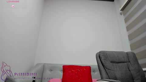 Snapshot of prittiditti chatting on 14, 2, 2025 PrittiDitti online show from 14, 2, 2025