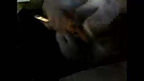 Snapshot of problm666 chatting on 2, 12, 2025 Clothingoptional online show from 2, 12, 2025