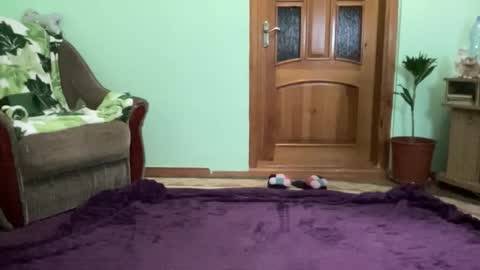 proud sweet 21 online show from 8, 9, 2025