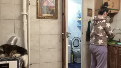 Snapshot of proud_sweet_21 chatting on 1, 2, 2026 proud sweet 21 online show from 1, 2, 2026