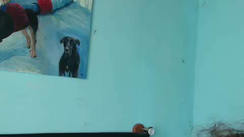 prxscillia_tx online show from 6, 11, 2025