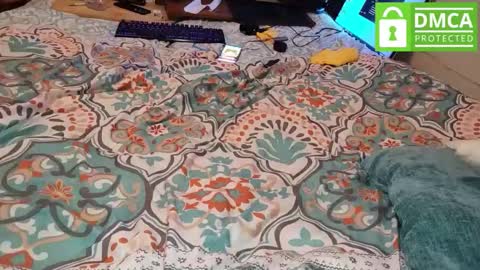 LOVE TO GET MY ASS FUCKED online show from 9, 3, 2026