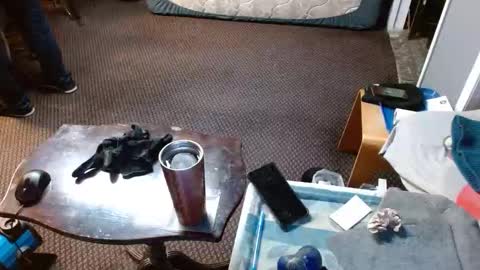 Jojo online show from 2, 4, 2026