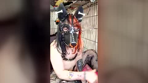 Pup Maxie HeHim online show from 31, 7, 2026