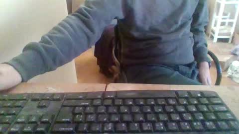 pup_y online show from 24, 11, 2025