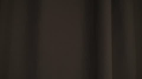 Snapshot of pure_project chatting on 2, 7, 2026 Ariana online show from 2, 7, 2026