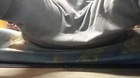 pussylver21 online show from 16, 1, 2026