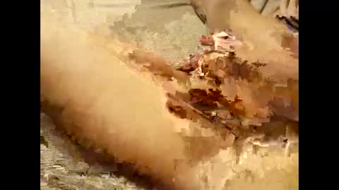 Thick Pussy banger online show from 28, 9, 2025