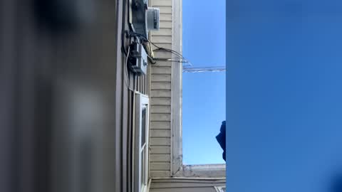 pyrex8 online show from 10, 2, 2026