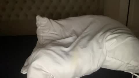 qlf0506 online show from 12, 11, 2025