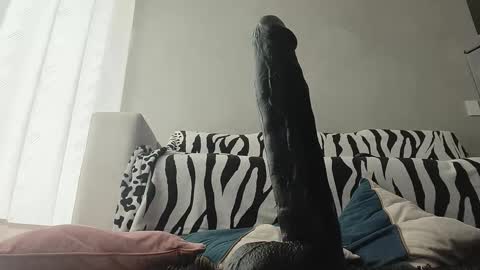 Snapshot of qmaspues69 chatting on 3, 3, 2025 Mistress online show from 3, 3, 2025