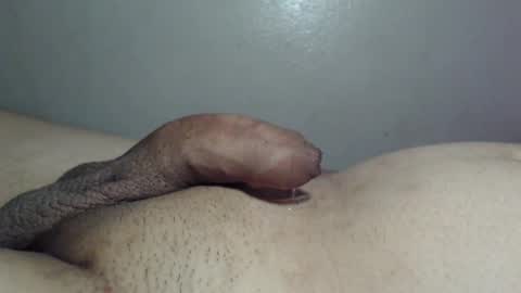 qqqwer21 online show from 15, 1, 2026