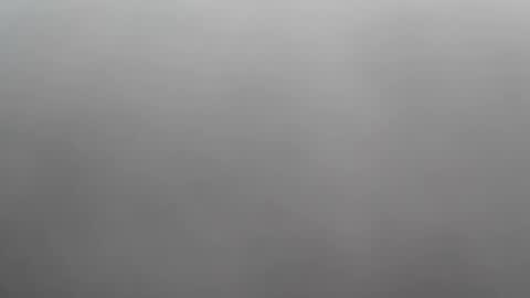 queen_asha online show from 15, 5, 2026