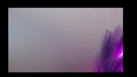 Snapshot of queen_rosee_ chatting on 5, 2, 2026 Queen Rosee online show from 5, 2, 2026