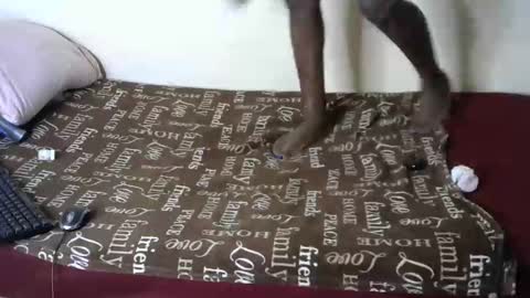 melly online show from 4, 1, 2025