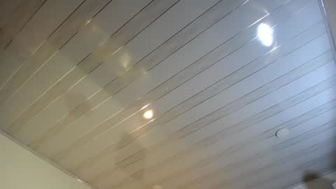 Snapshot of queenpink777 chatting on 19, 12, 2024 Rose online show from 19, 12, 2024