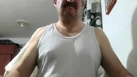 Snapshot of querubinrebelde chatting on 3, 6, 2026 Don Ramon online show from 3, 6, 2026