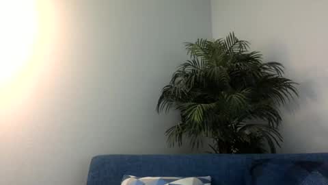 Snapshot of quest_one chatting on 24, 12, 2024 Jim online show from 24, 12, 2024