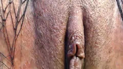 Quickie online show from 29, 4, 2026