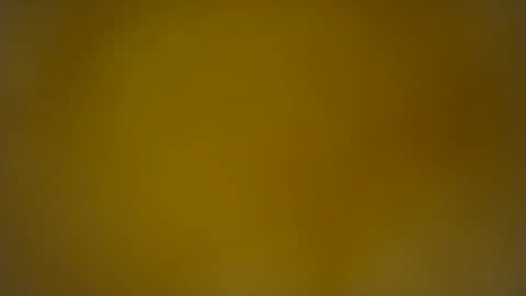 quinnxx online show from 26, 2, 2026