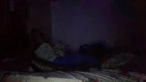 quuwavvy online show from 9, 10, 2025