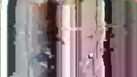 r04233054 online show from 29, 11, 2025