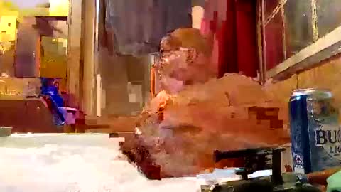 rabidsquirrell online show from 5, 2, 2025