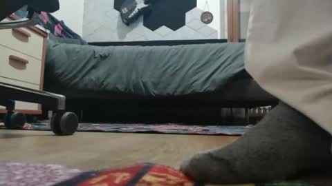 Snapshot of raccon68 chatting on 20, 12, 2025 Raccoon68 online show from 20, 12, 2025