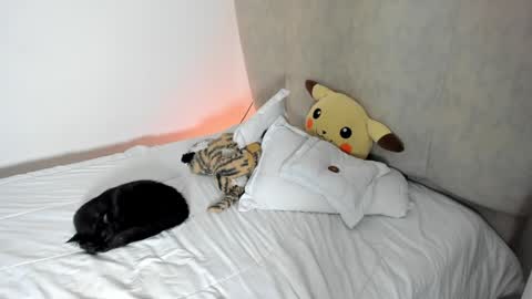 natalia  -  online show from 25, 1, 2025